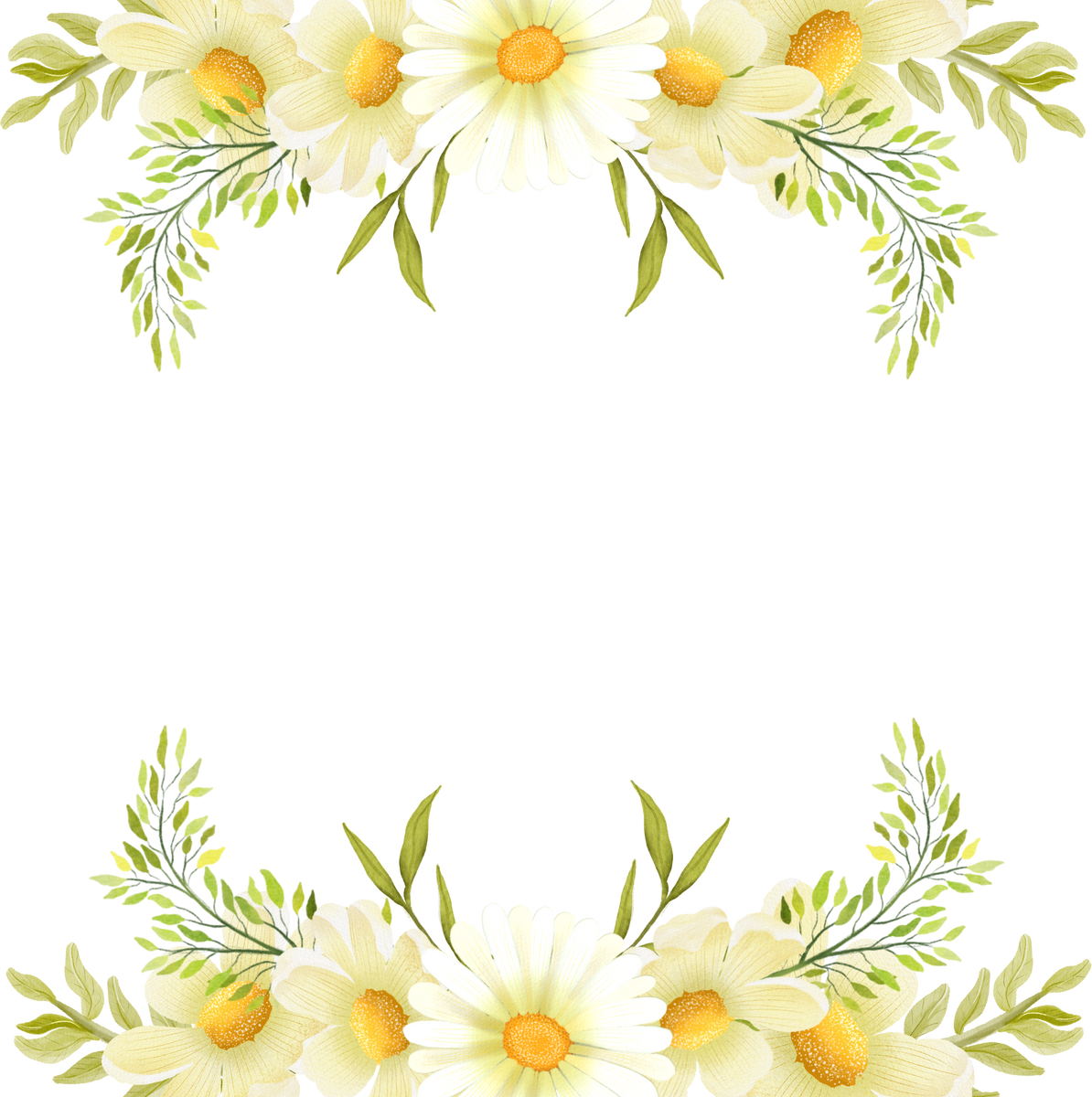 Daisy Watercolor Border